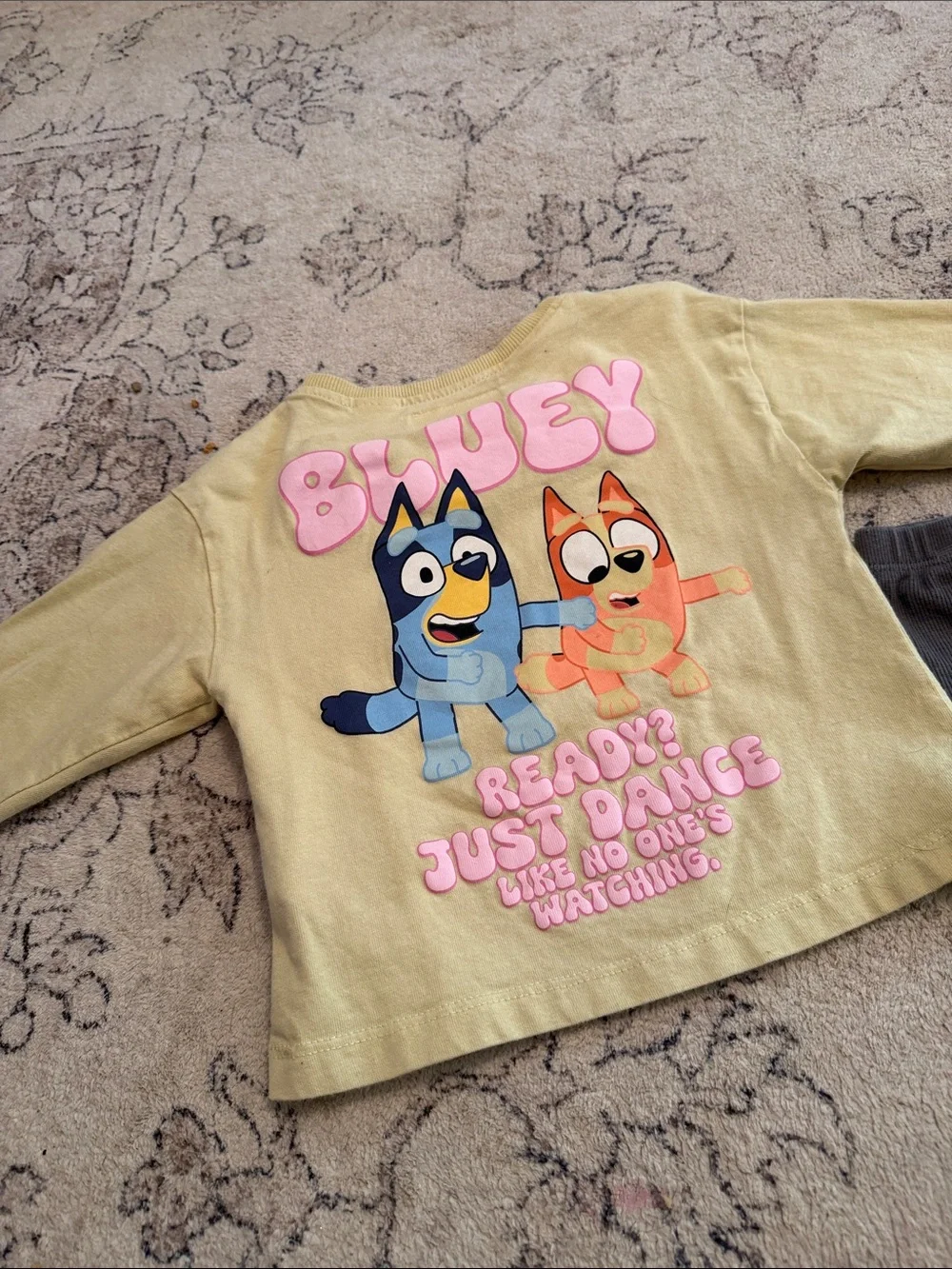 Zara X Bluey Set